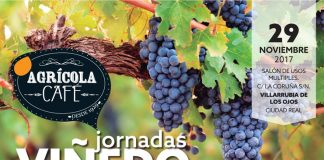 29 noviembre. Jornada Viñedo. Villarrubia de los Ojos (Ciudad Real)