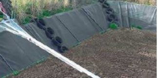 Se preguntan si nuevo Gobierno legislará sobre aplicación de purines