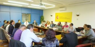 Porcentaje de nueva plantaciones de viñedo, antes del 15 de diciembre