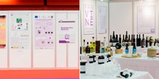 Innovación y sostenibilidad dentro de la WBWE