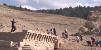 Zombies del Tajo (Plataforma Más de Un Ciudadano)