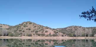Ayudas destinadas a transporte para fomentar educación ambiental entre escolares