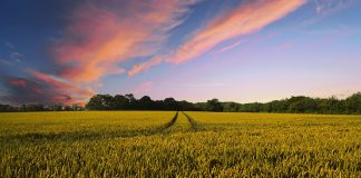 4.563€ por nuevos derechos de Reserva Nacional de Pago Básico 2018