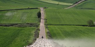 ADSG La Roda se integra en la de animales de abasto de La Gineta