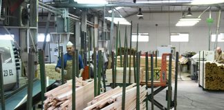 1.100 empleos para zonas despobladas y más afectadas por la crisis