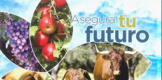 El MAPAMA edita la Guía del Seguro Agrario 2018