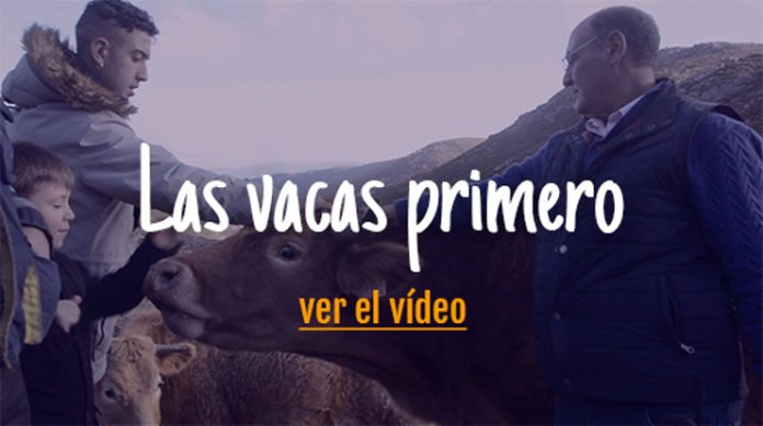 imagen video vacas navidad