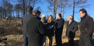 120.000 euros para recuperación medioambiental zona afectada por incendio de Campillo de Altobuey