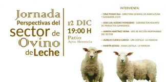 Herencia (Ciudad Real) acoge jornada sobre futuro del ovino de leche