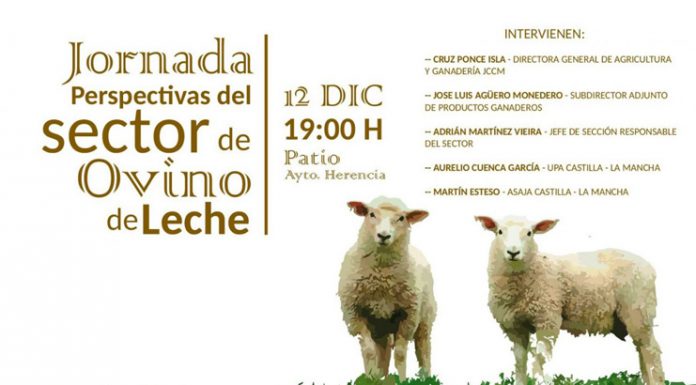 Herencia (Ciudad Real) acoge jornada sobre futuro del ovino de leche