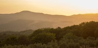 Piden medidas para evitar la caída de la renta agraria europea