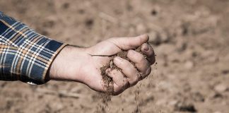 Se confirma la peor campaña de riego del siglo en Andalucía sequía