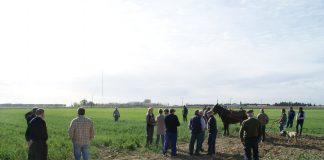 Nuevo ciclo de labores tradicionales del campo, en Socuéllamos (Ciudad Real)