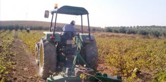 ASAJA valora “positivamente” mantenimiento sistema de módulos para agricultores y ganaderos