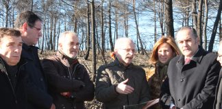 Visita obras MAPAMA en terrenos afectados por incendio Campillo de Altobuey