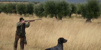 Real Federación de Caza agradece apoyo de cazadores en redes sociales