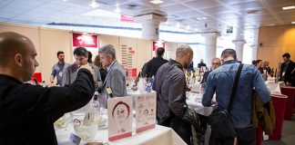 Las nueve Denominaciones de Origen vinícolas de Castilla-La Mancha, en Enofusión