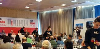 Los vinos de Toledo, protagonistas en jornada de apertura de Enofusión
