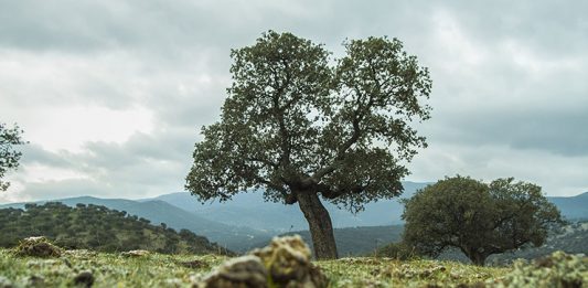 Paisaje