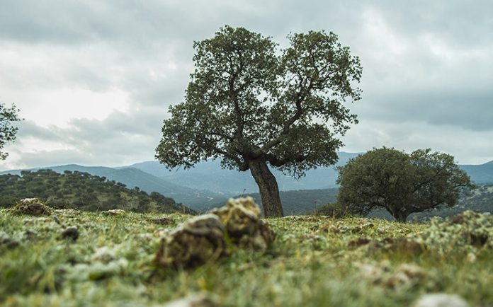 Paisaje
