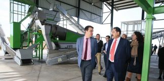 Una de cada cinco hectáreas de olivar es ecológico en Castilla-La Mancha