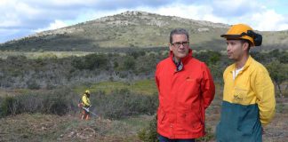 1,1 millón de euros para ayudas tratamientos selvícolas en montes Guadalajara