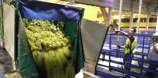 Producción de vino y mosto 2017: 19,4 millones de hectolitros