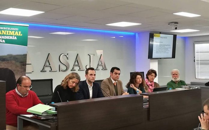 jornada tuberculosis