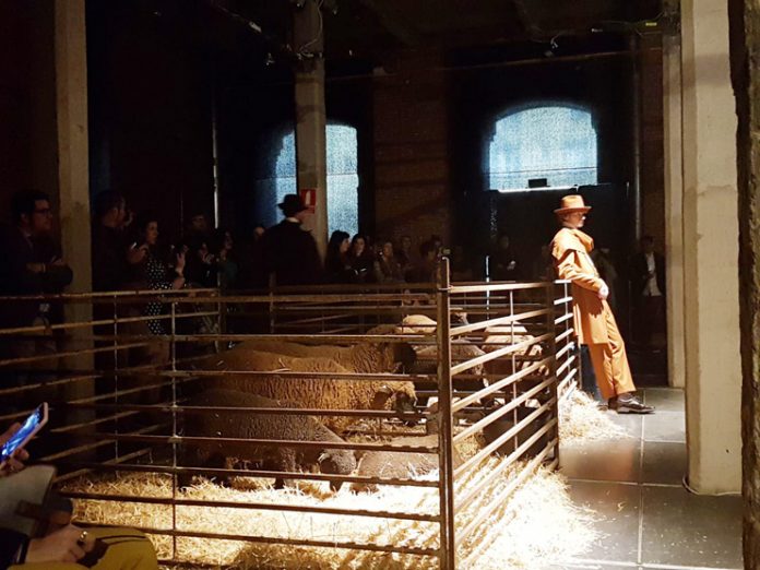 ovejas merinas fashion week