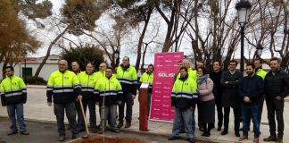 Ayuntamiento de Tomelloso contribuye a la recuperación del olmo autóctono