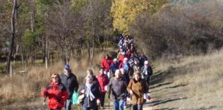 Más de 2.500 participantes en rutas senderistas de ‘Mayores en Forma’