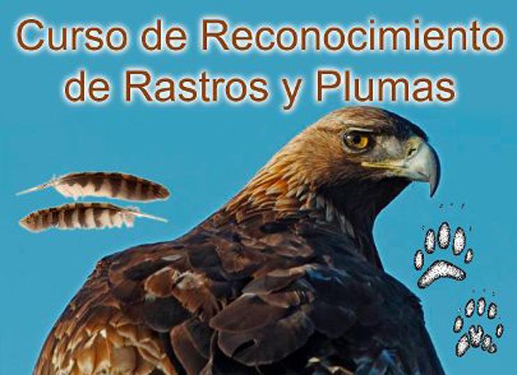 Cartel Curso rastros y plumas 2018 2