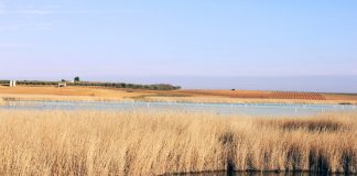 Global Nature celebra Día Mundial de los Humedales en Castilla-La Mancha
