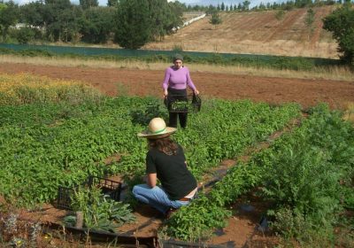 La nueva Política Agraria Común (PAC) incorpora la figura de joven agricultora y nuevo agricultor