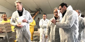 Granja Agas (Motilla del Palancar) duplicará su producción de huevos camperos