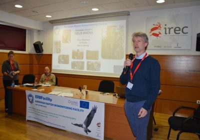 Investigan presencia de contaminantes ambientales en aves rapaces europeas