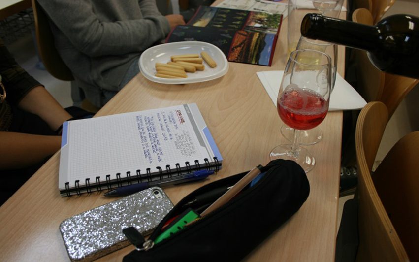 Un-rosado-entre-apuntos-y-estuches-de-lapiceros