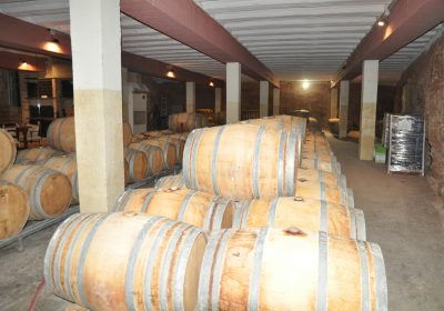 Productos agroalimentarios siguen liderando exportaciones de Cuenca