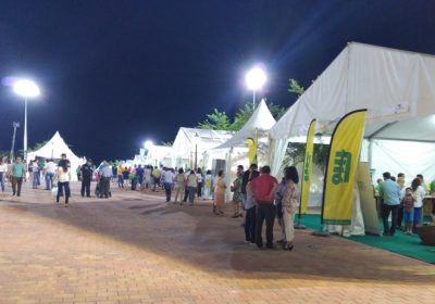 FERIMEL, la Feria Regional del Melón, se celebrará del 2 al 4 de agosto en Membrilla (Ciudad Real)