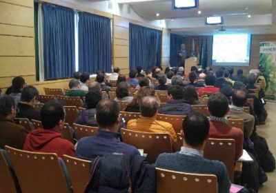 13 millones de euros para proyectos de innovación para el olivar