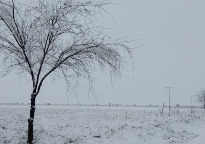 La nieve caída, “agua bendita” para agricultores y ganaderos castellano-manchegos