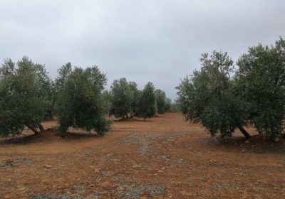 Confirmado inicio de redacción proyecto construcción de presa Castillo de Montizón