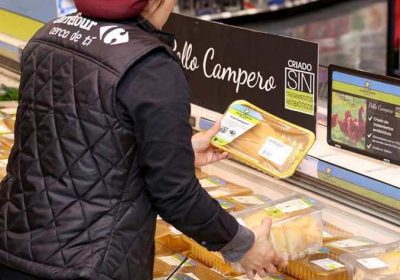 Carrefour lanza en Castilla-La Mancha primer pollo campero criado sin antibióticos