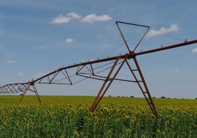 Exige prórroga de los Regímenes de Extracciones para 2020 «sin excepciones»