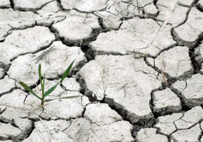 Piden Ley de Cambio Climático que cuente con agricultores y ganaderos