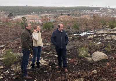 Un millón para Plan de Mejoras en montes de provincia Guadalajara