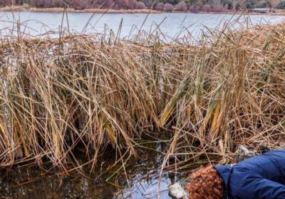 Vídeo. Agricultores denuncian vertidos de basura en sus tierras basura