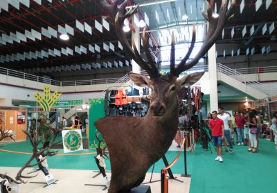 Reserva de stand en FERCATUR 2018