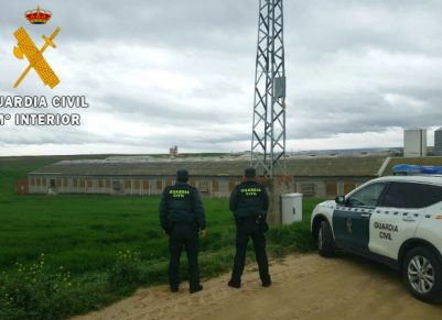 Detenido por sustraer cerdos en explotaciones ganaderas de Toledo