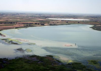 Pide a Bruselas que incluya los humedales mediterráneos en el mercado voluntario de carbono humedales